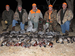 Texas Panhandle Pheasant Hunts