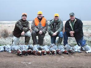 Texas Pheasant Hunts