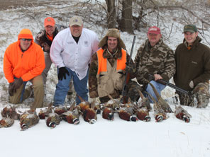Guided Pheasant Hunts